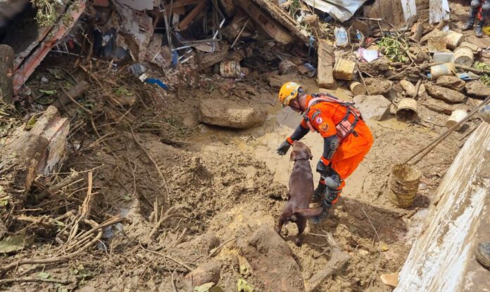 bombeiros_buscas_caes_em_sao_goncalo_160223
