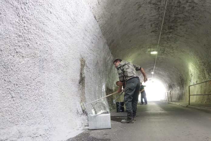 WhatsApp Image 2023-11-07 at 07.47.16