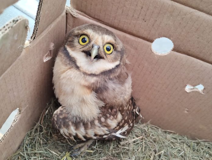 WhatsApp Image 2023-11-14 at 07.56.16