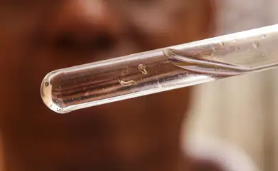 combate-dengue_mcamgo_abr_29022024-21