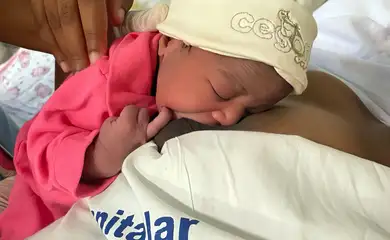 alta_pequena_elysa_-_pedro_ii1_jv