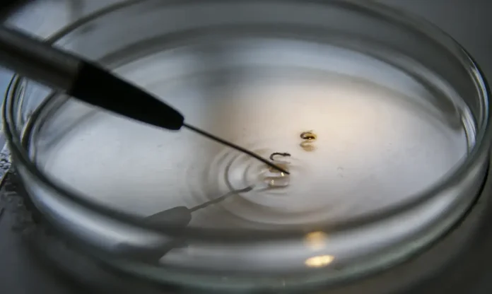 combate-dengue_mcamgo_abr_29022024-27