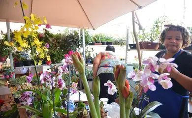 978546-03102015-sebraefeira no parquedsc_6921 (1)