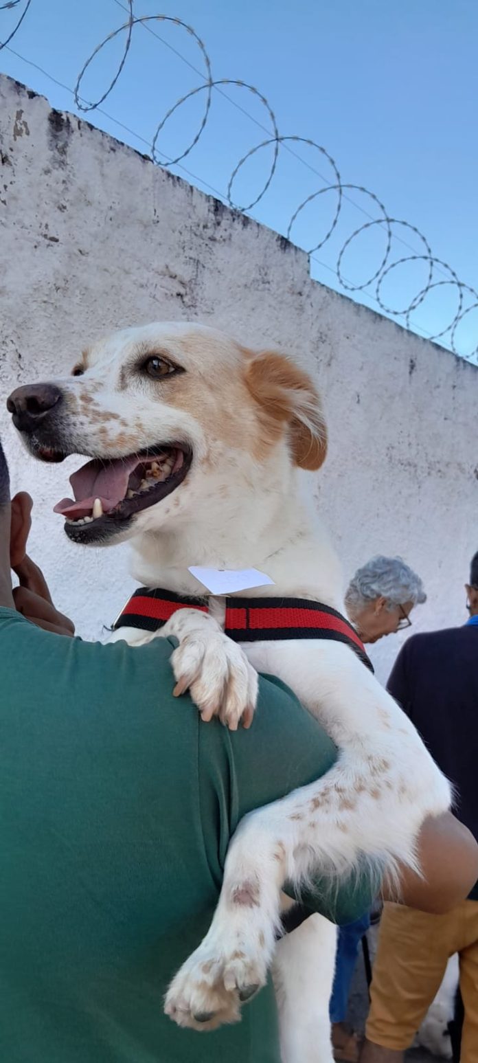 WhatsApp Image 2024-05-08 at 07.31.23