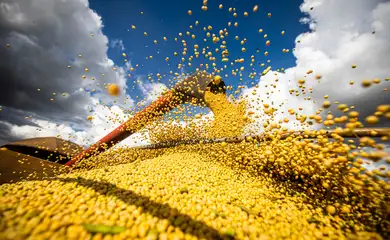 50926862498_639e8931b8_o