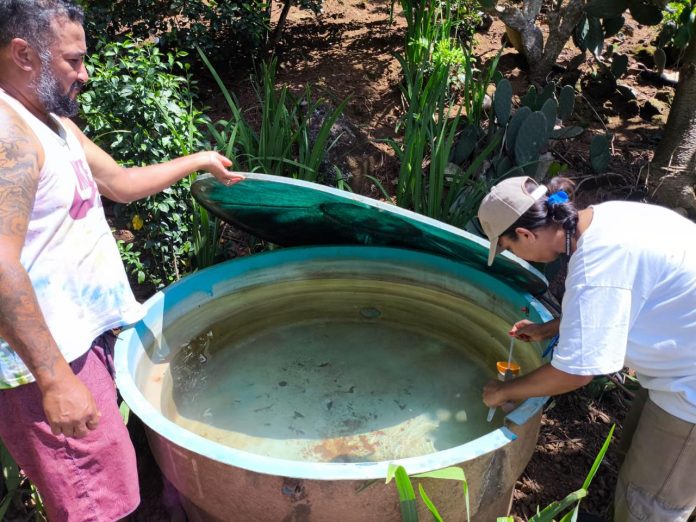 WhatsApp Image 2025-03-28 at 18.02.12